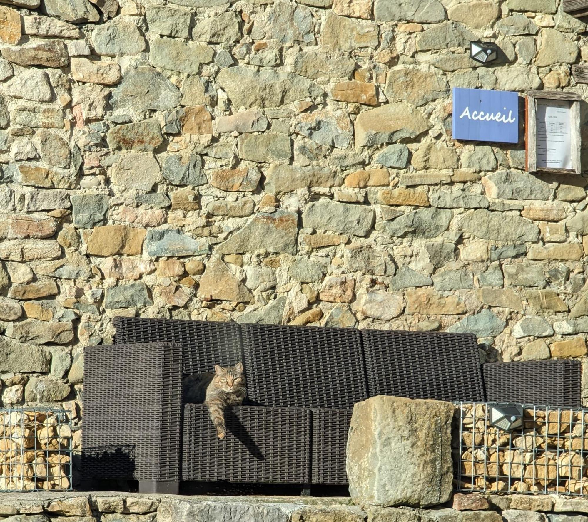 Chambres D'Hotes Le St Maurice Truinas Exterior photo